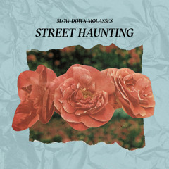 Street Haunting