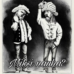 Vallu & Meikälaine - Ninjabiisi