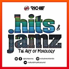 Hits And Jamz "The Art of Mixology" - Mixed & Remixed by Richie NMS