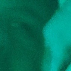 Blinded to see