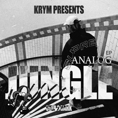 Analog Jungle (Original mix)