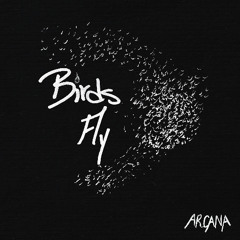 Birds Fly