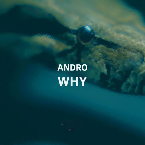 Andro - Why