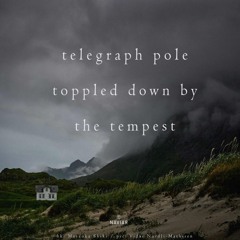 telegraph pole [naviarhaiku566]