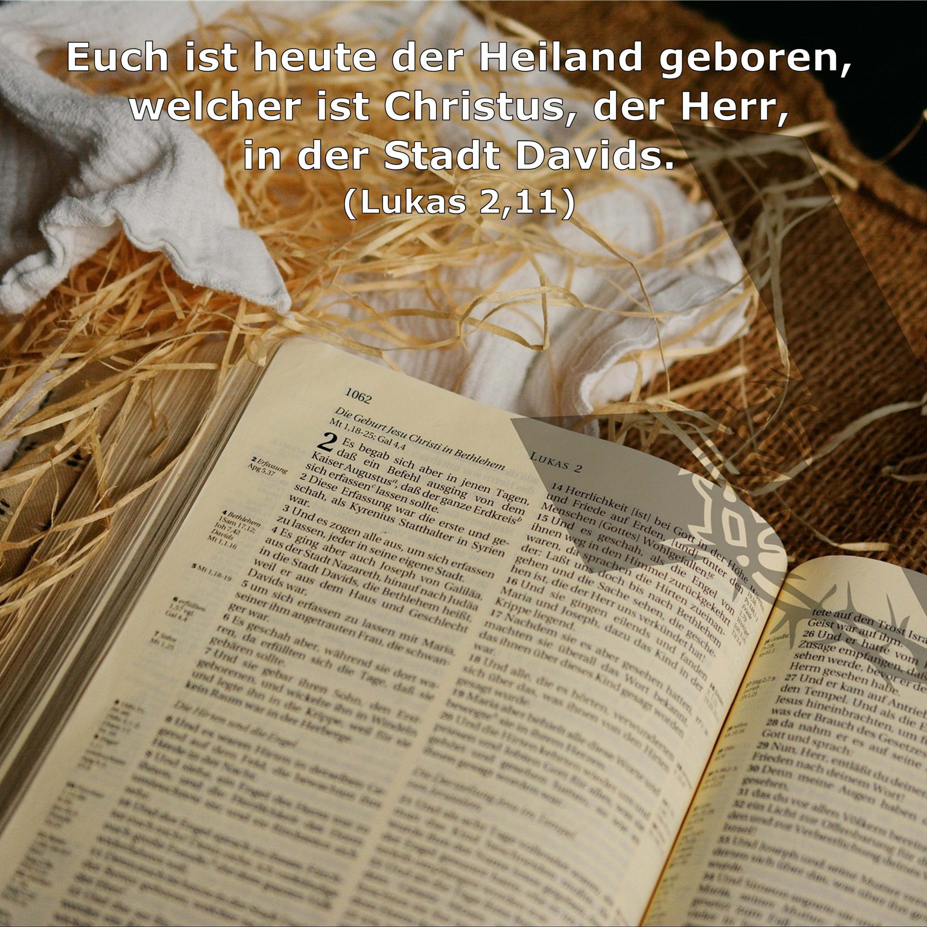In einem Jahr durch die Bibel