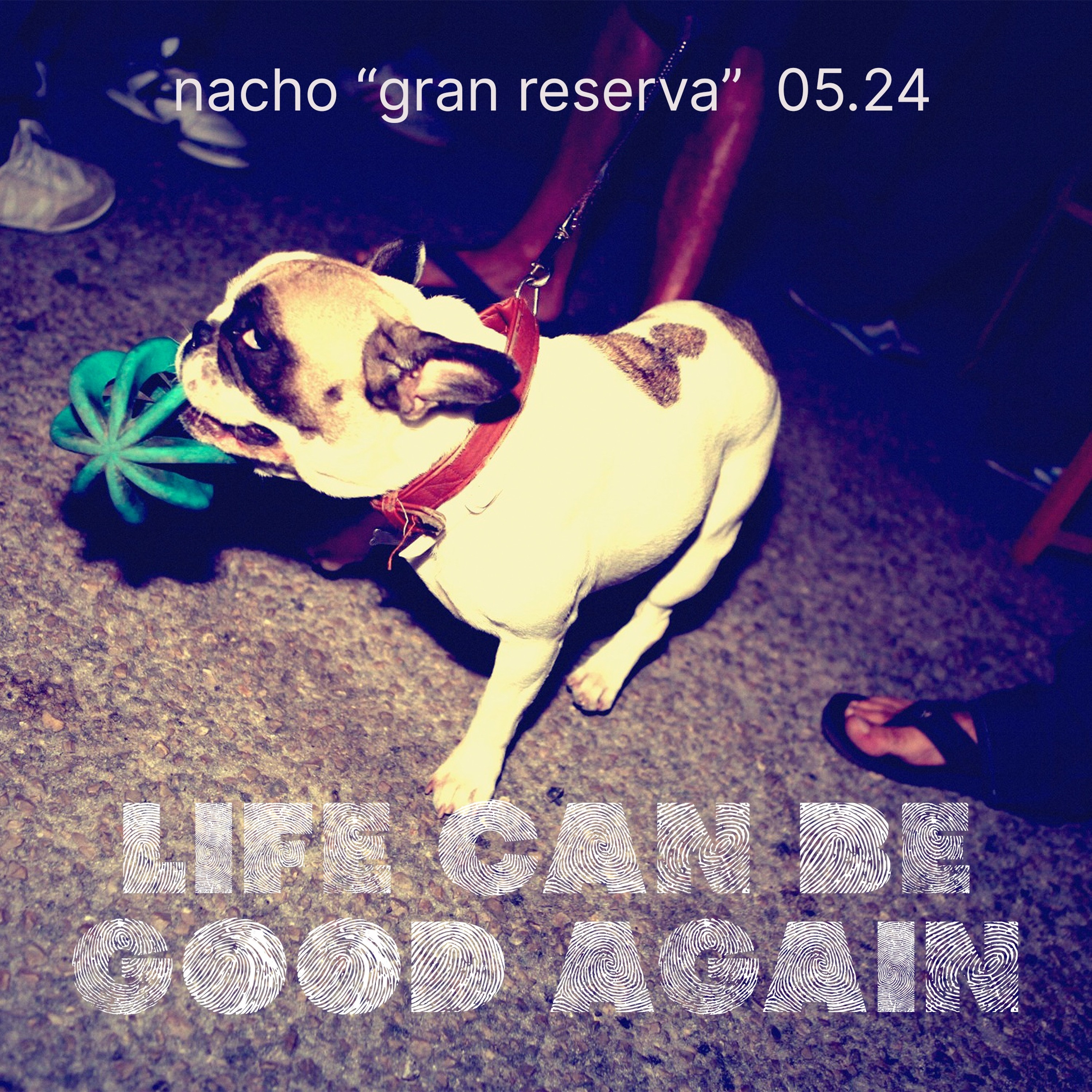 Garito Glup Yeah!