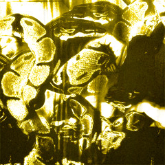 Len - Chakra Remix (prod. kosha)