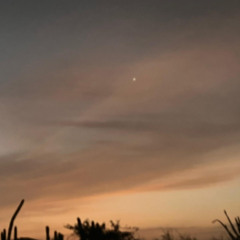 show you the moon
