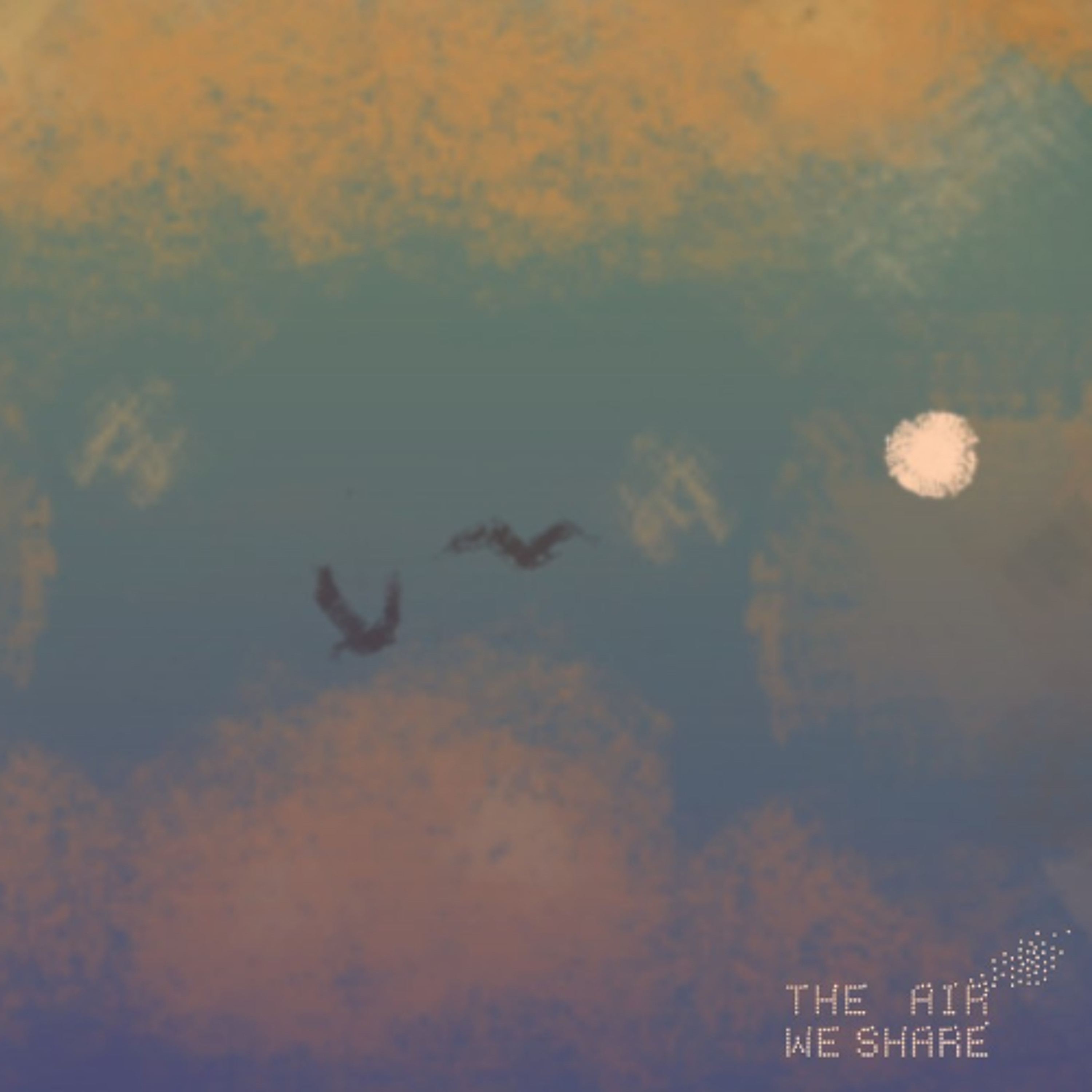 An t-Aer Roinnte - Dr. Liz Coleman episode artwork