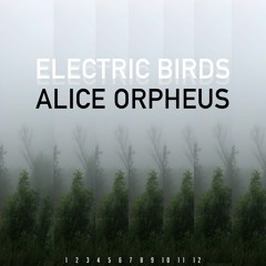 Electric Birds