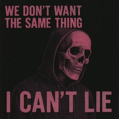 I Can't Lie (prod. metlast x morne)