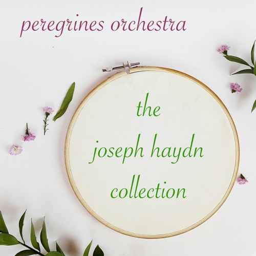 String Quartet in D Major, Op. 645, H 363, Lark III. Menuetto allegretto