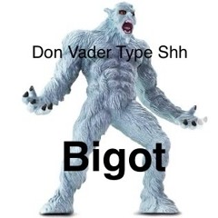 Bigot