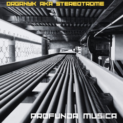 Organyk aka Stereotrome : Profunda Musica 001