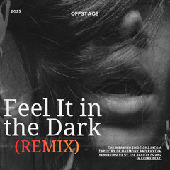 Feel It in the Dark (Remix)