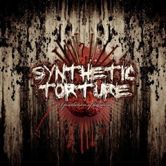 Synthetic Torture - Sea Of Horror