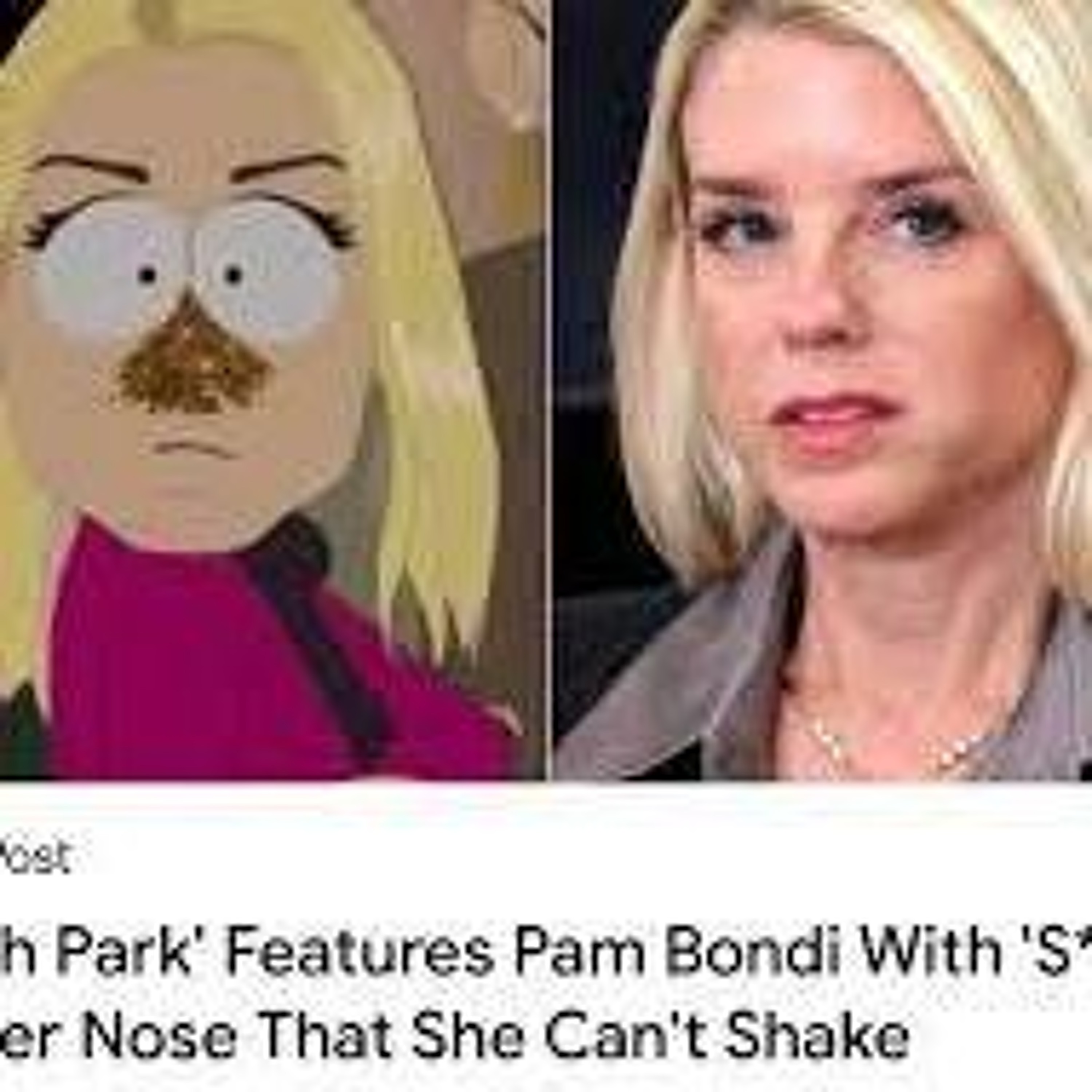 Pam Bondi - What a Bitch!
