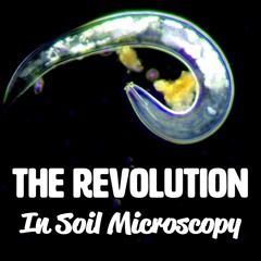 The Revolution In Soil Microscopy [FULL WEBINAR]