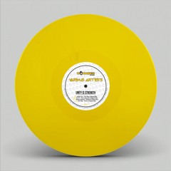 [13MRLP002] V.A. - Unity Is Strenght - Repress