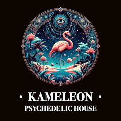 Dj Kameleon - Psychedelic House