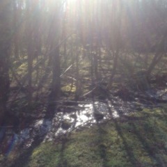 Lifeline (Original 12" Mix)