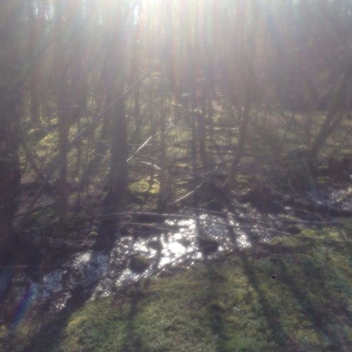 Lifeline (Original 12" Mix)