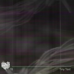 melt mix vol. 78 - Tiny Text (live @ Sub Club)