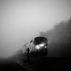 The Elegies - Moonlight