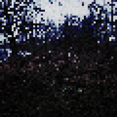 in your way (p. all we left unsaid)