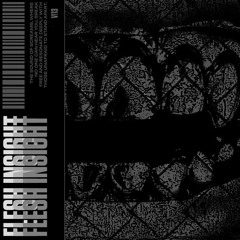 V!13 - FLESH INSIGHT