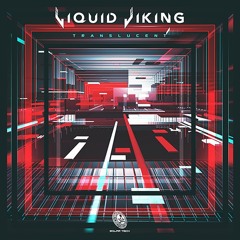 Zyce - Experience Of Life (Liquid Viking Remix)