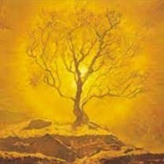 Shemos: Breslov Insights on the Parsha