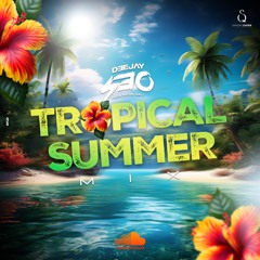 DJ 530 - TROPICAL SUMMER MIX (2024)