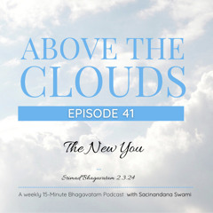 #41 The New You
