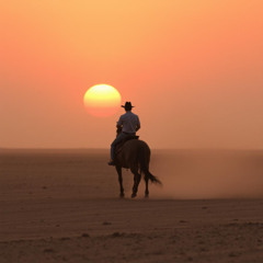 The Man In The Arena