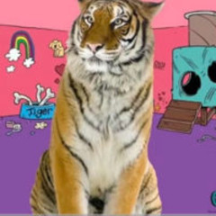 concerned for what w/ kaitila