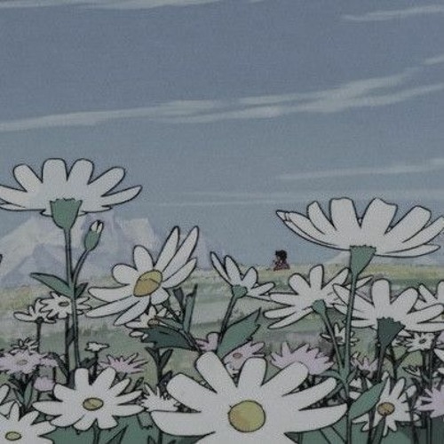 daisy