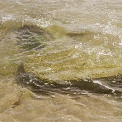 Silver Lake