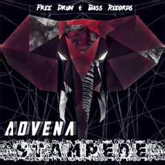 Advena - Stampede (Free Download)