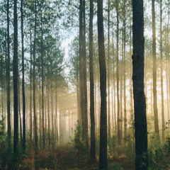 Adams - Exclusive Music Gathering #6 - Assaf NA's BDay October 2025