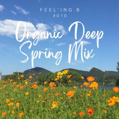 - ORGANIC DEEP SPRING MIX - #010 - [APR 2022] -