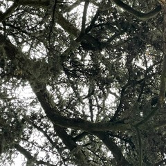 Nothing- 24 - 23 - 22 - Audio 1 2 0001 [2020 - 11 - 01 002206]- PIM