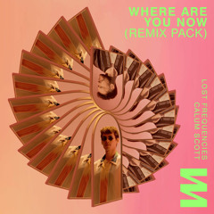 Where Are You Now  (Kungs Remix)