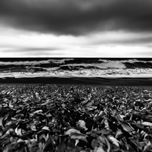 On The Blue Sea (2023)