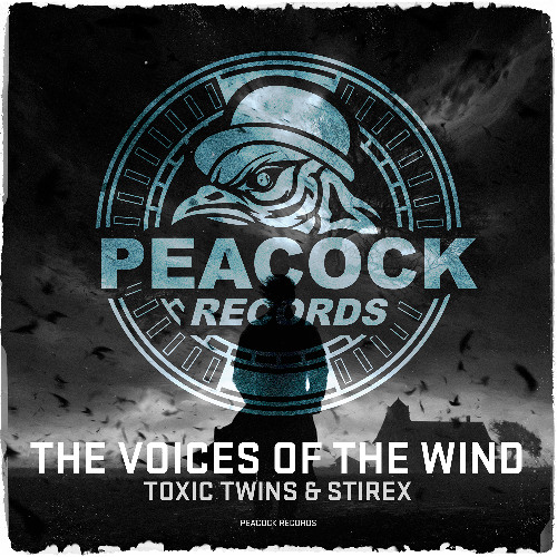 Toxic Twins & Stirex - The Voices Of The Wind