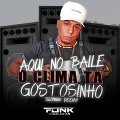 AQUI NO BAILE O CLIMA TÁ GOSTOSINHO (SELMINHO )