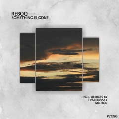 PREMIERE: Reboq - Something Is Gone (Original Mix) [Polyptych]