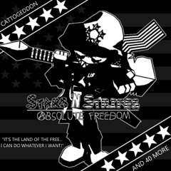 STARS 'N STRIPES | ABSOLUTE FREEDOM