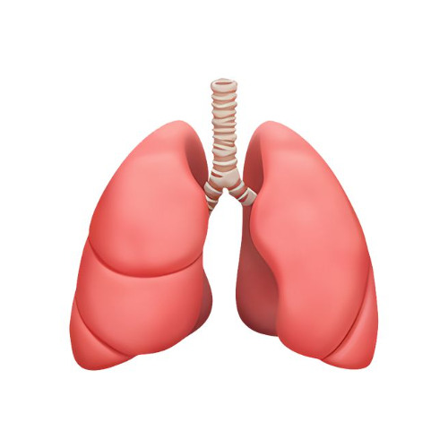 aiir(prod.springghbk)