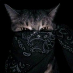 HYPER! (OUT ON SPOTIFY)